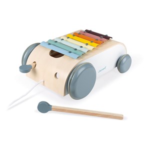 Xylo roller sweet cocoon