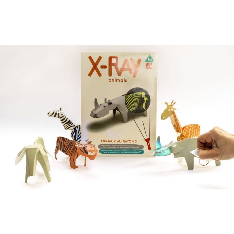 KOA KOA - Animaux au rayon x