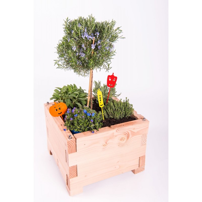 Carré potager little