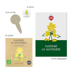 Mini kit gaspard graines de moutarde bio