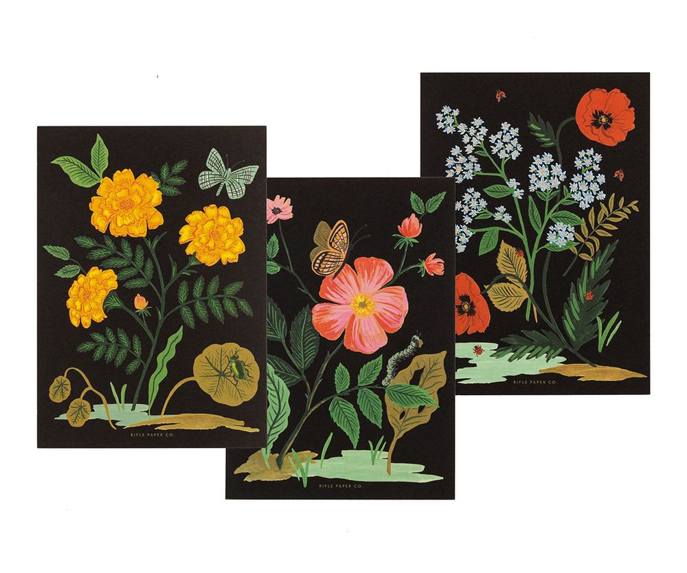 12 cartes correspondance botanical Nature & Découvertes