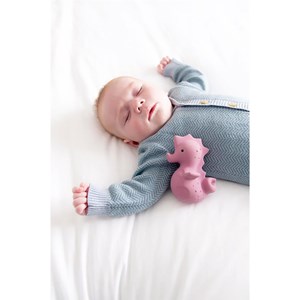 Hippocampe en caoutchouc naturel