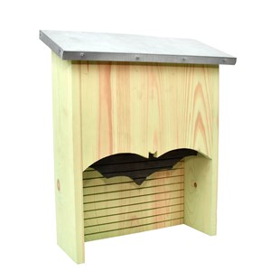 Abri silhouette chauve-souris l