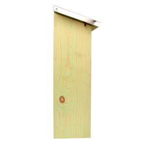 Abri silhouette chauve-souris l