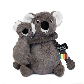 Ptipotos koala gris