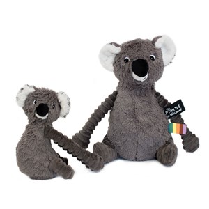 Ptipotos koala gris
