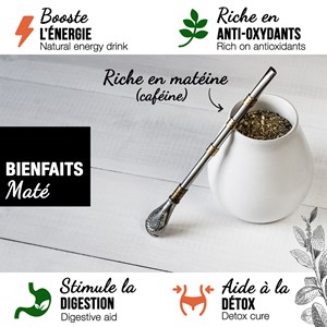 Yerba maté orange bio 200g