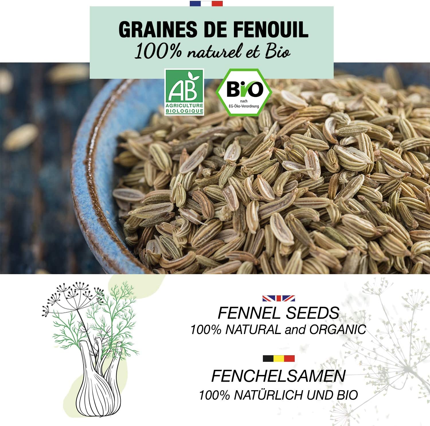 Graines de Fenouil bio - Le Petit Herboriste