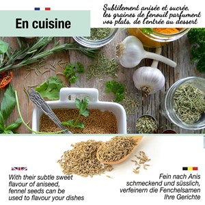 Infusion graines de fenouil bio 200g