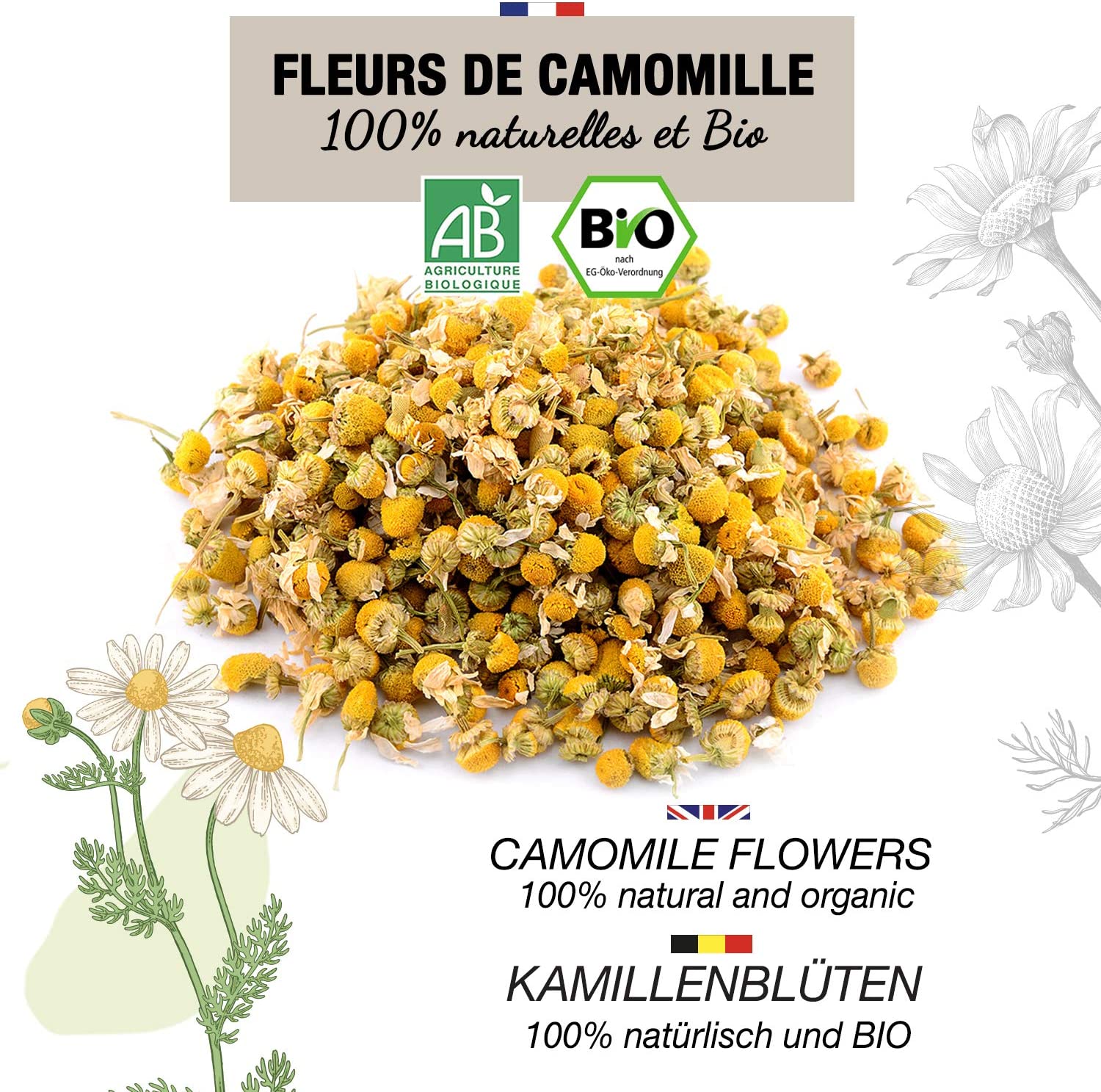 CAMOMILLE MATRICAIRE AB
