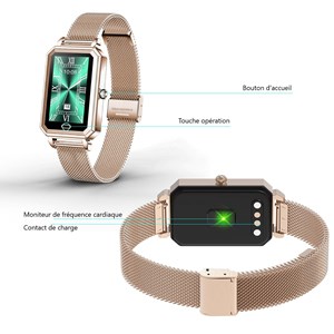 Montre connectee multifonctions