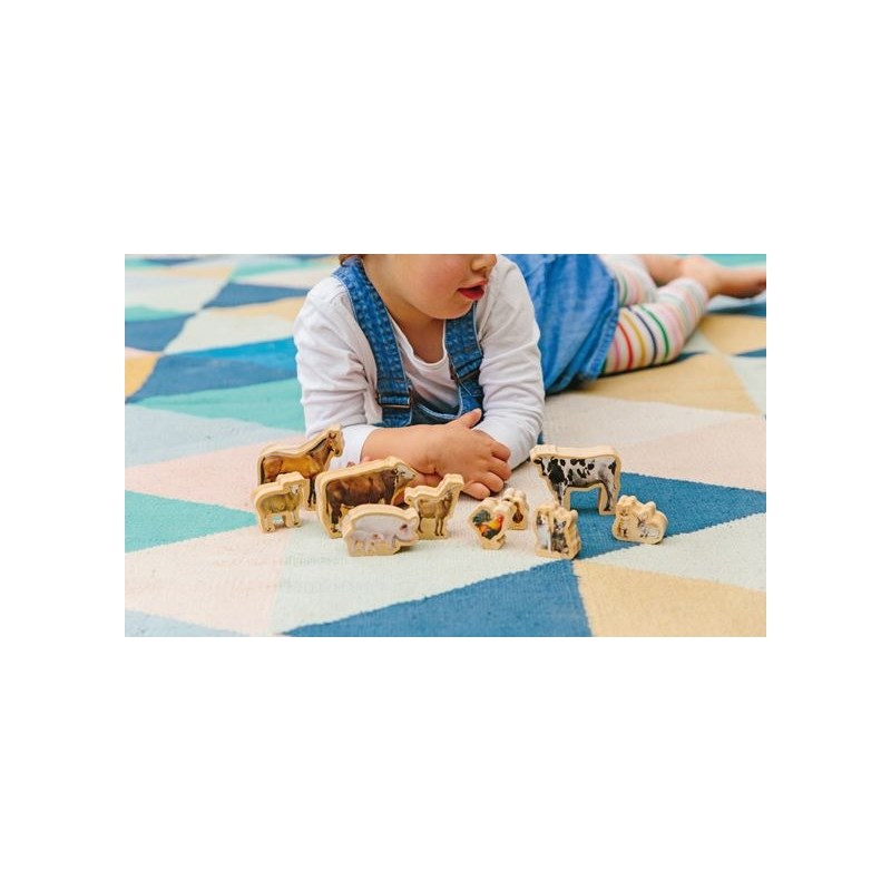 Animaux de la ferme imprimés, lot de 10