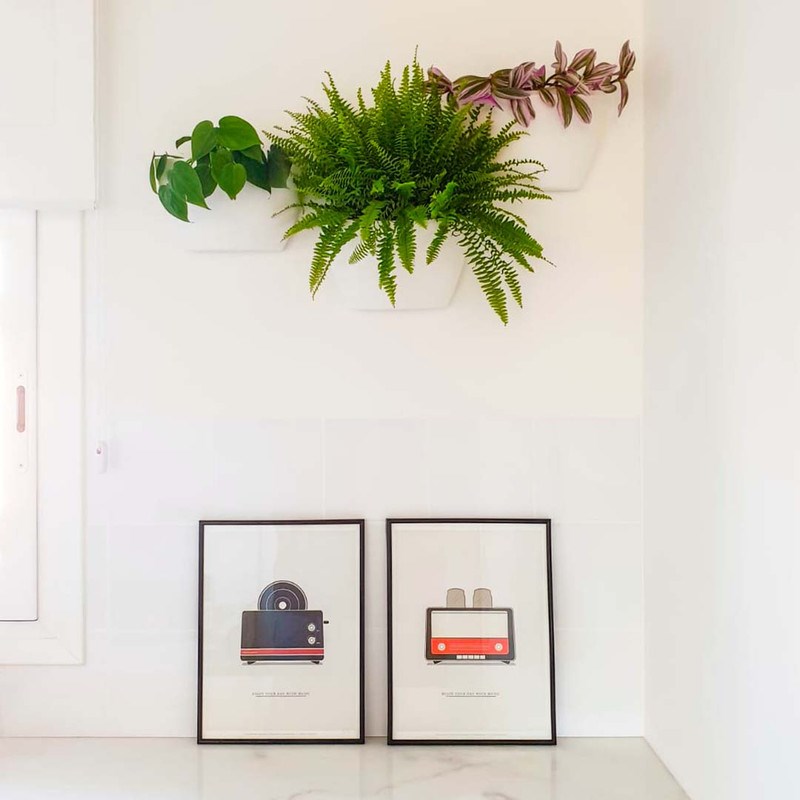 Pots muraux blanc - arrosage auto