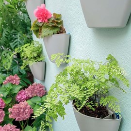 Pots muraux gris - arrosage auto