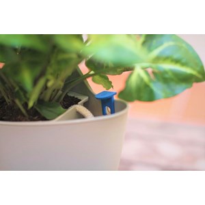 Pots muraux gris - arrosage auto