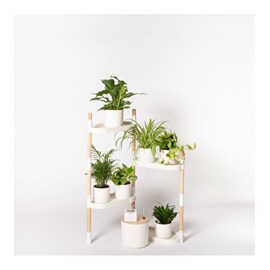 Étagère plantes blanche 4 arrosage auto