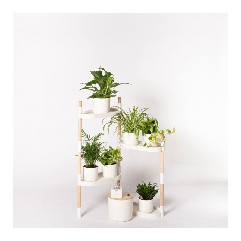 Étagère plantes blanche 4 arrosage auto