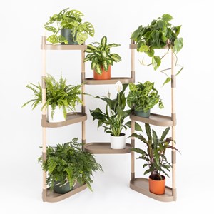 Étagère plantes écorce de pin 8 plateaux