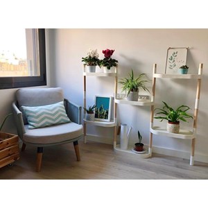 Étagère plantes blanche 6 arrosage auto