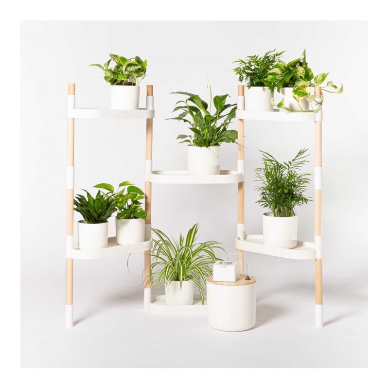 Citysens - Étagère plantes blanche 6 arrosage auto