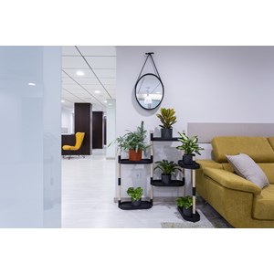 Étagère plantes noire à arrosage auto 6