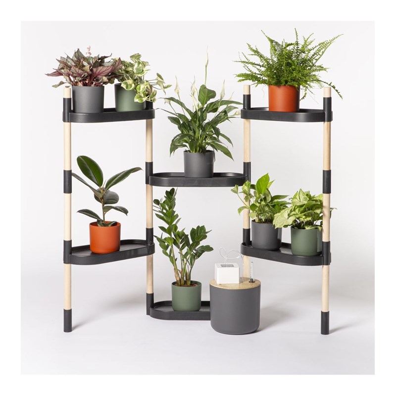 Citysens - Étagère plantes noire à arrosage auto 6