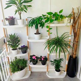 Étagère pour plantes 8 plateaux blanche