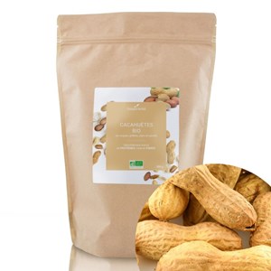 Cacahuètes en coques grillées bio  - 500