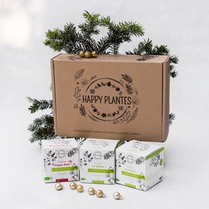 Coffret 3 tisanes boîtes 20 sachets bio