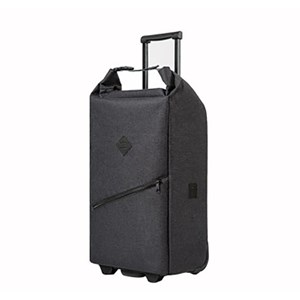 Trolley chariot type valise cabine pour