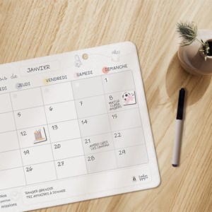 Organisateur familial mensuel magnétique