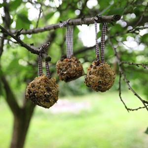 Diy - mangeoire pomme de pin à fabriquer