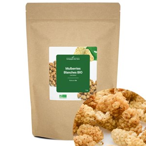 Mulberries blanches bio - 1kg (séchées) - riche en fer