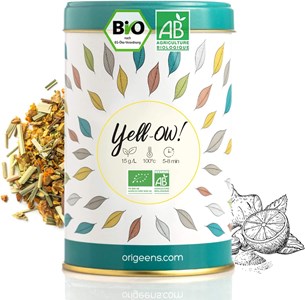 Infusion bio curcuma gingembre
