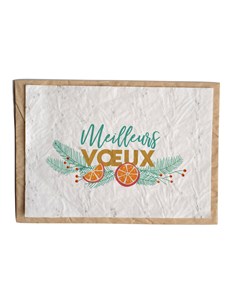 5 cartes à planter meilleurs vœux