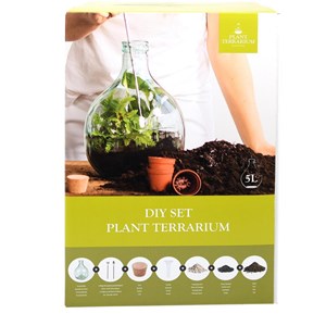 Diy kit terrarium 5l complet