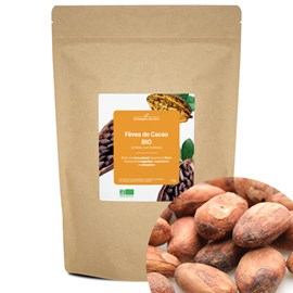 Fèves de cacao bio - 1kg (entières, non torréfiées) - riche en antioxydants