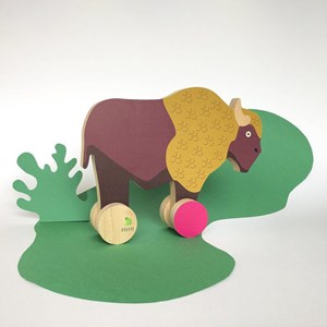 Coffret cadeau enfants le bison d'europe