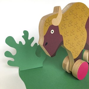 Coffret cadeau enfants le bison d'europe