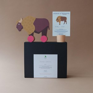 Coffret cadeau enfants le bison d'europe