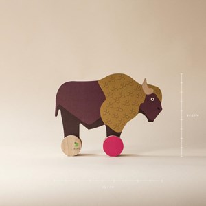 Coffret cadeau enfants le bison d'europe