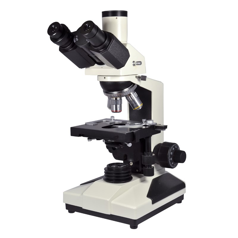 Paralux - Microscope l1100 s2 trino -1600x