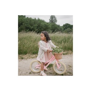 Draisienne gingersnap 12 pouces 2-4 ans Rose