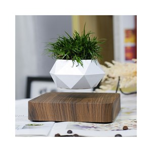 Jardin en lévitation hexafly bois foncé