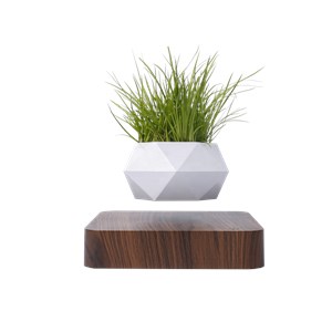 Jardin en lévitation hexafly bois foncé