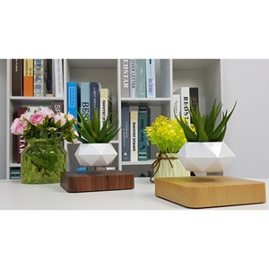 Jardin en lévitation hexafly bois foncé