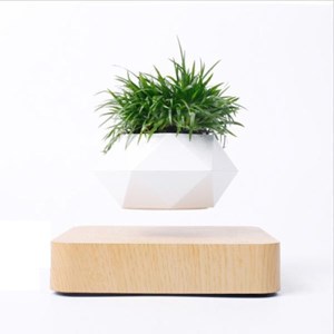 Jardin en lévitation hexafly bois clair