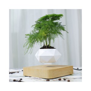 Jardin en lévitation hexafly bois clair