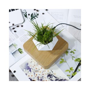 Jardin en lévitation hexafly bois clair