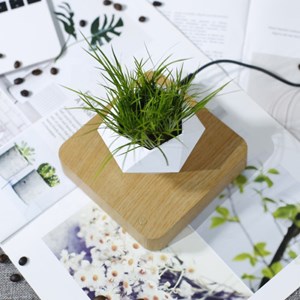 Jardin en lévitation hexafly bois clair